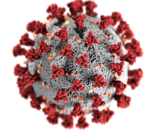 COVID - The Actual Virus Lives On